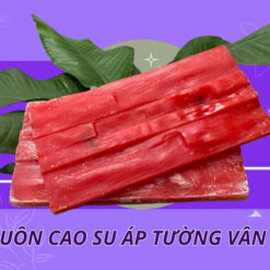 mua-khuon-cao-su-op-tuong-o-dau