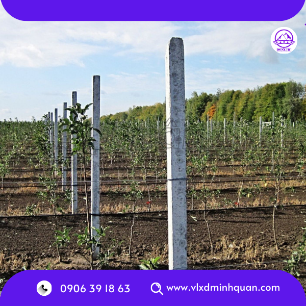 trụ rào đúc sẵn tại bàu bàng