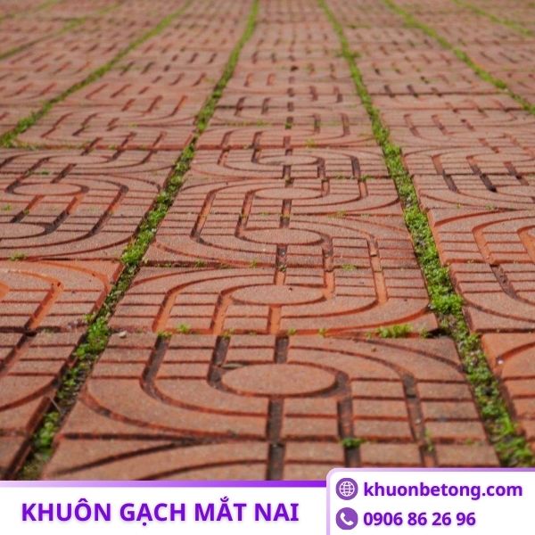 Khuôn nhựa đúc gạch mắt nai