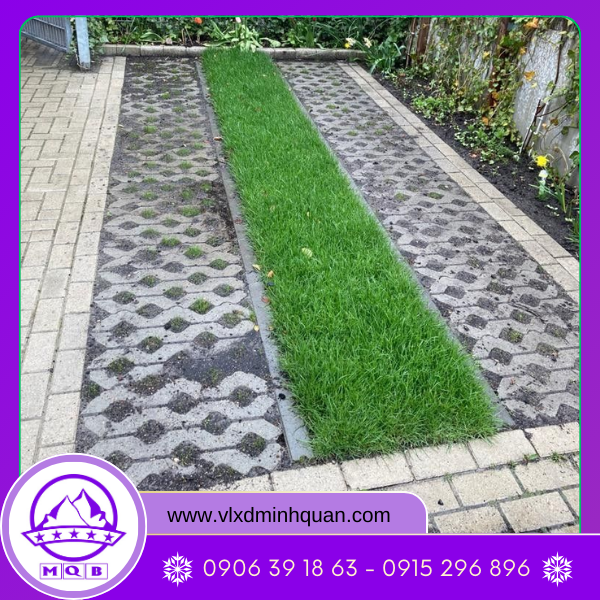 gạch bê tông trồng cỏ tại long an