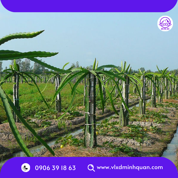 trụ rào bê tông tại quận 2