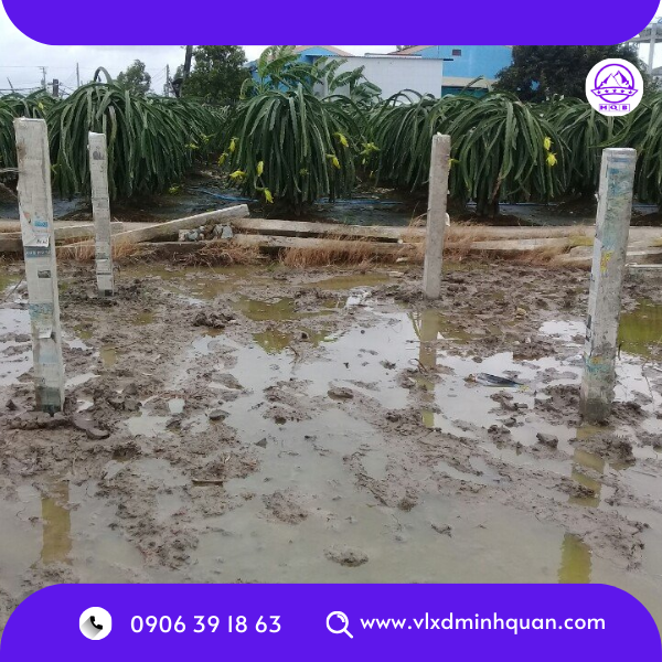 trụ rào đúc sẵn tại long an