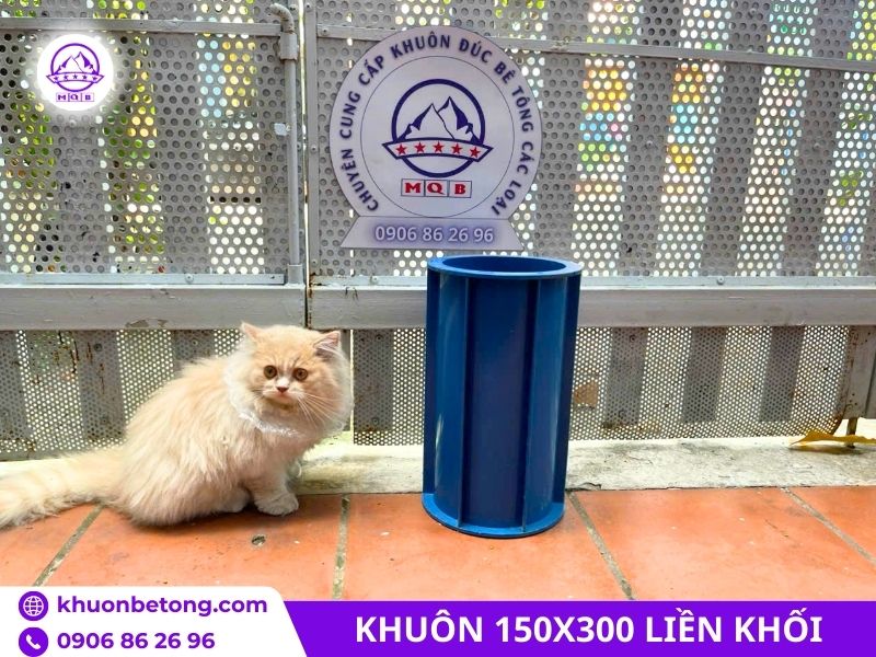 Khuôn đúc mẫu 150x300mm liền khối