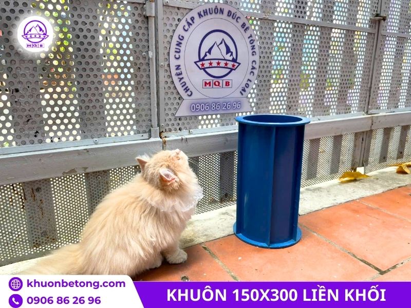 Khuôn trụ 150x300mm liền mảnh