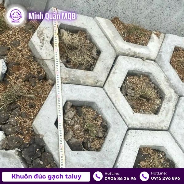 Khuôn gạch lục giác có lỗ bằng nhựa