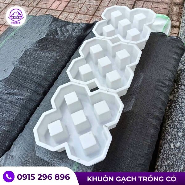 Khuôn gạch taluy trồng cỏ